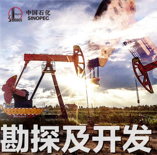 云视频发布2020年度业绩,张玉卓答媒体问