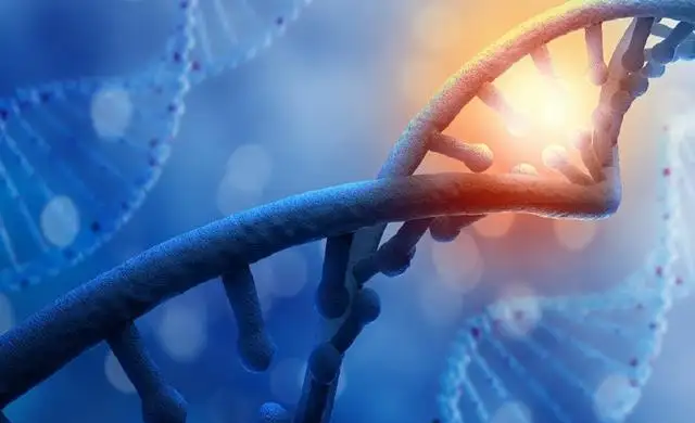 我国首部生物经济五年规划发布,直接指出生物基降解材料发展方向