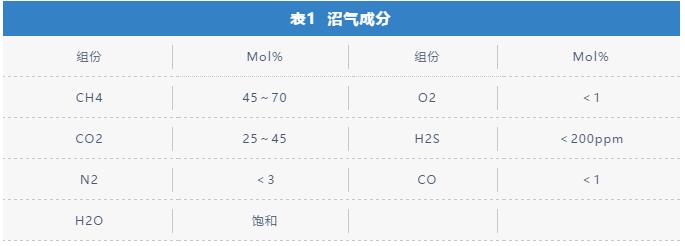【技术分享】能源化工装备 | 喷油螺杆压缩机在沼气增压行业的应用探讨 【技术分享】能源化工装备 | 喷油螺杆压缩机在沼气增压行业的应用探讨
