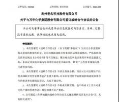 万华化学一季度?实现营收313.12亿元,加速新材料、精细化学品布局!