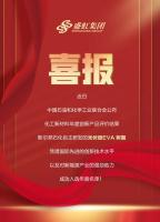 国内首次创新突破!盛虹“智造”荣获年度创新大奖