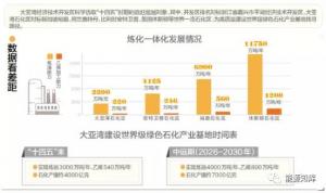 大亚湾是如何逐步成为国内规模最大的炼化一体化石化基地的?