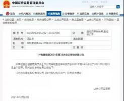 复盘东方盛虹收购斯尔邦:从何处来,往何处去?