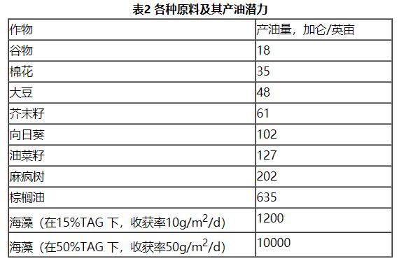 第三代生物质能:藻类生物燃料 第三代生物质能:藻类生物燃料