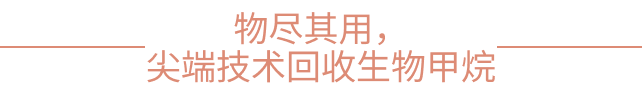 低碳化无碳化,威立雅推动绿色能源循环——绿色低碳国际合作委员会理事单位案例分享(一) 低碳化无碳化,威立雅推动绿色能源循环——绿色低碳国际合作委员会理事单位案例分享(一)