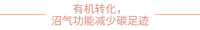低碳化无碳化,威立雅推动绿色能源循环——绿色低碳国际合作委员会理事单位案例分享(一) 低碳化无碳化,威立雅推动绿色能源循环——绿色低碳国际合作委员会理事单位案例分享(一)