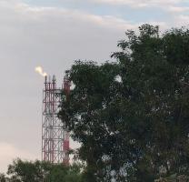 一次点火成功!广东石化火炬系统正式竣工使用