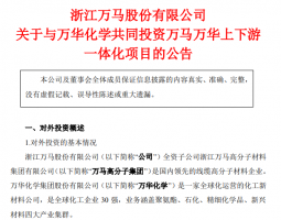 重磅!万马万华上下游一体化项目落地福州
