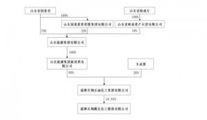 重磅!齐翔腾达迎来国资“新东家”