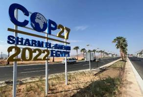 COP27 | 应对气候变化:真金白银行动起来