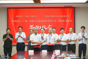 中国化学赛鼎携手东邦化学,成功签约重大改扩建项目